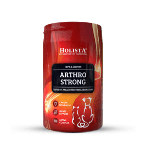 Holista Arthro Strong - papildai sąnariams šunims 200 g