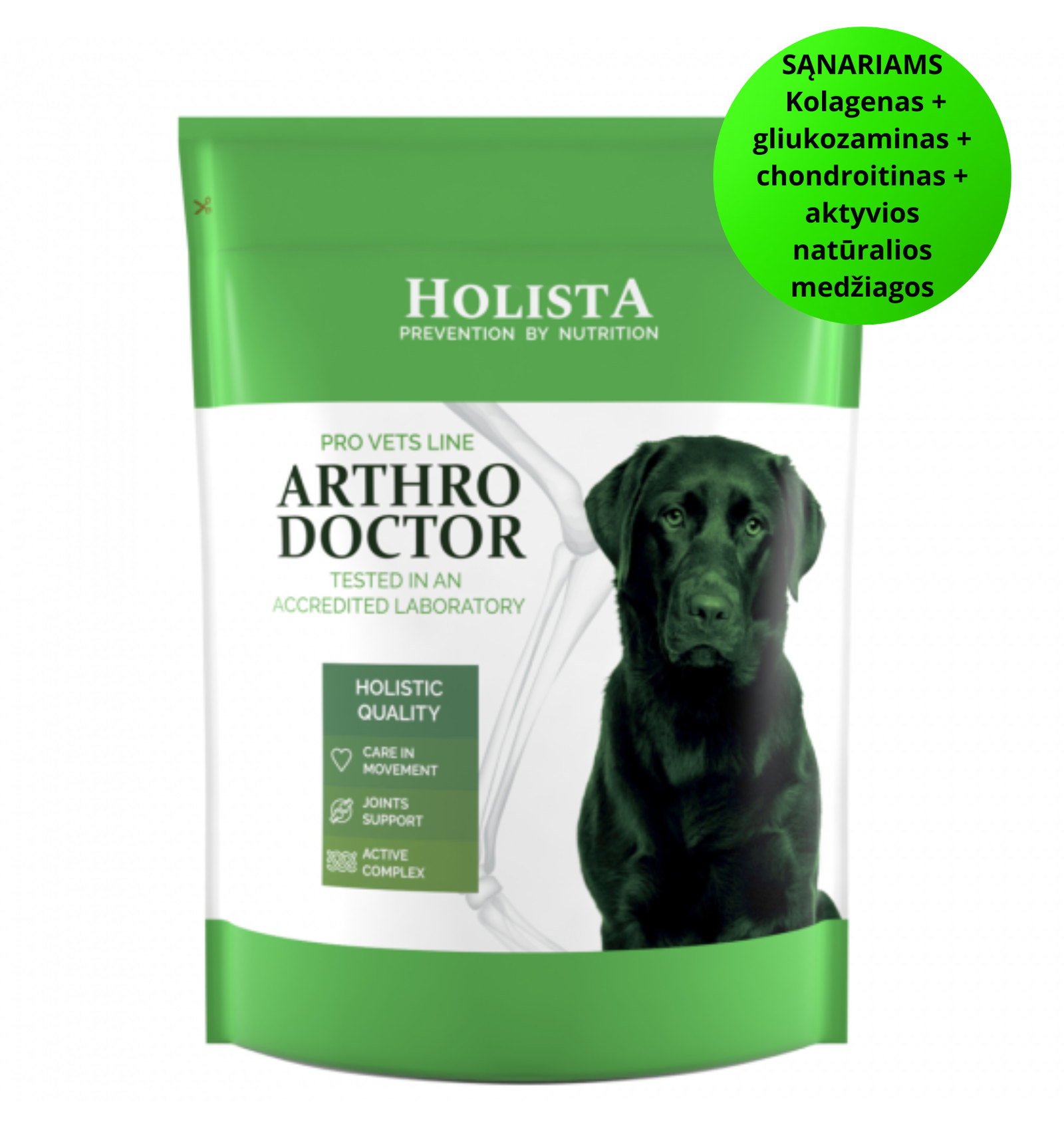 Holista ProVets Line Arthro Doctor - papildai sąnariams šunims, milteliai 600 g.