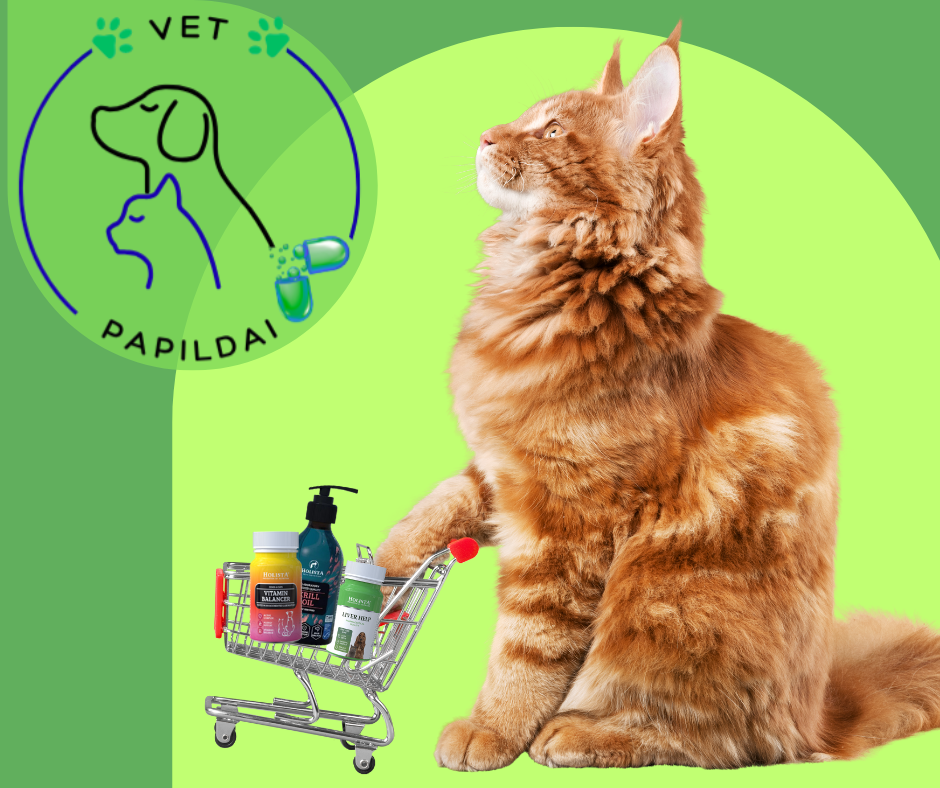 White Black Simple Pet Shop Facebook Post (1)