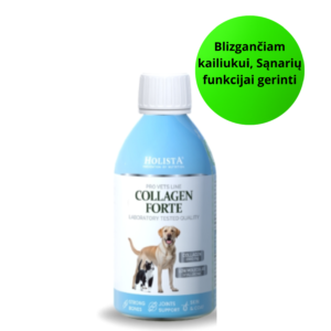 Holista Cat & Dog Collagen Forte – kompleksinė sąnarių ir jungiamojo audinio mitybinė parama, sirupas