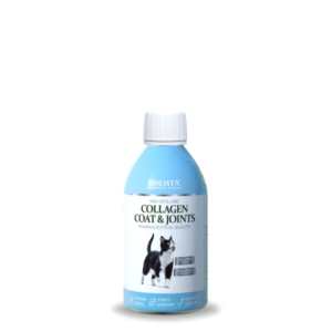 Holista Cat Collagen Coat and Joints- sirupas katės sąnariams ir kailiui