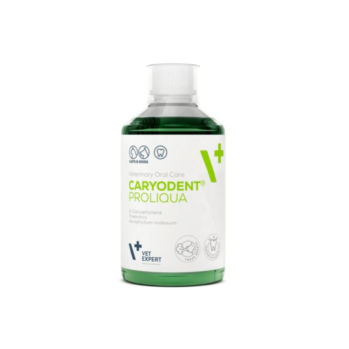 Vetexpert caryodent burnos ertmės skystis šunims ir katėms 250ml
